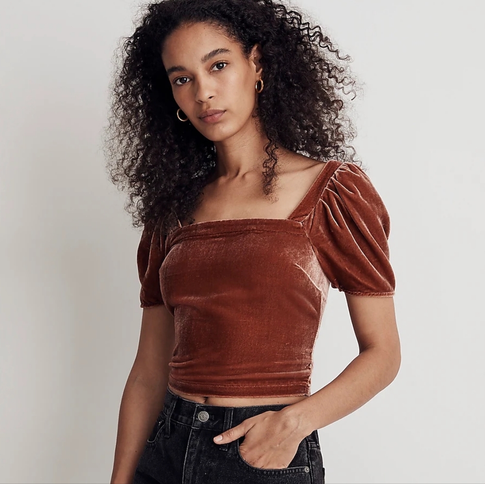 Madewell - Hopewell Puff-Sleeve Crop Top in Silk-Blend Velvet - Size M  (NWT)
